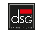 logo_dsg